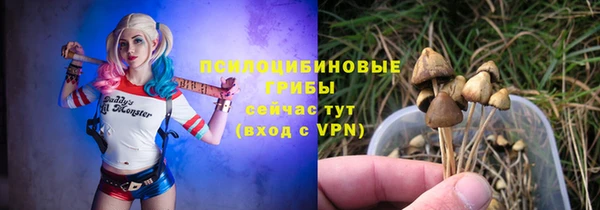 меф Ладушкин