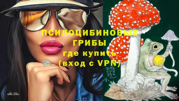 меф Ладушкин