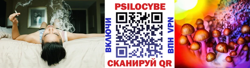 Купить  Шлиссельбург  Псилоцибиновые грибы ЛСД 